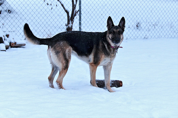 Winter Time!