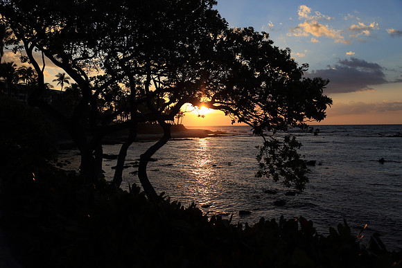 Sunset Beauty