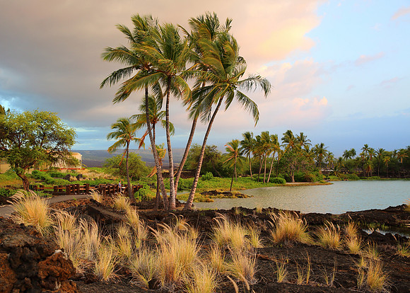 Hawaii splendor