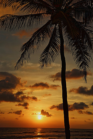 Golden Sunset