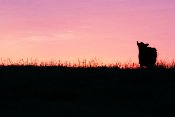 ND Sunset